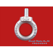 DIN580 Eye bolt rigging